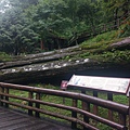 IMAG7862.jpg
