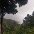 IMAG7865.jpg