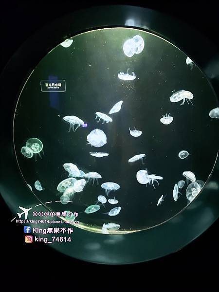 ［屏東 親子景點］國立海洋生物博物館 | 墾丁親子必玩推薦景