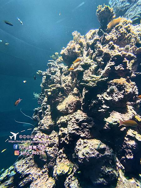 ［屏東 親子景點］國立海洋生物博物館 | 墾丁親子必玩推薦景