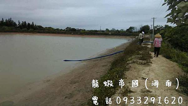 Australian Lobster Breeding Farm.jpg Australian Lobster Breeding Farm.jpg