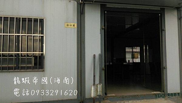 澳洲龍蝦 買澳洲龍蝦 澳洲龍蝦蝦苗 澳洲龍蝦養殖 台灣澳洲龍蝦養殖場 0933291620.jpg