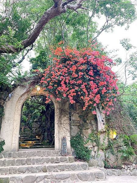 S__20701248.jpg S__20701248.jpg