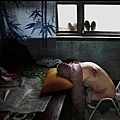 山西省臨汾市下康村村民長期飲用被工業污水污染的地下水，有五十多人得了癌症和腦血栓。64歲的王寶生在2003年發病，一直臥床不起，使他全身很多地方潰爛。不能上床睡覺，每天只能趴在床前過日子。2005年7月10日（網絡圖片）