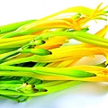 新鮮黃花菜含有秋水仙素，是一種毒素，人體攝入嚴重的會出現手指腳趾麻木等症狀。（網絡圖片）