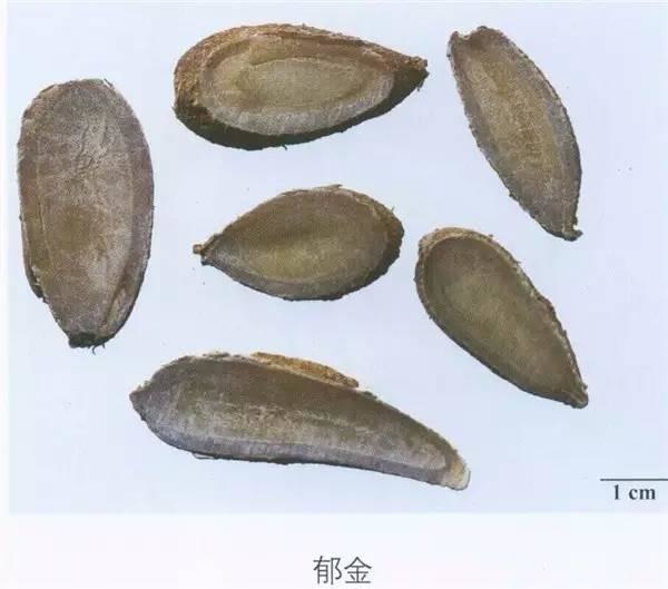 網路圖片