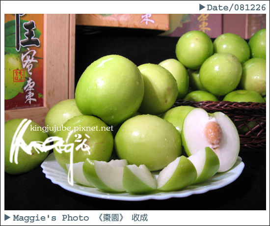 2009收成起跑5.jpg 2009收成起跑5.jpg