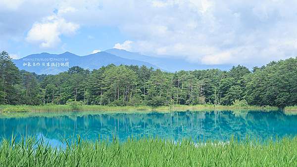 日本東北 福島縣 五色沼 五彩斑斕的湖群沼澤 貓臉旅行誌 痞客邦