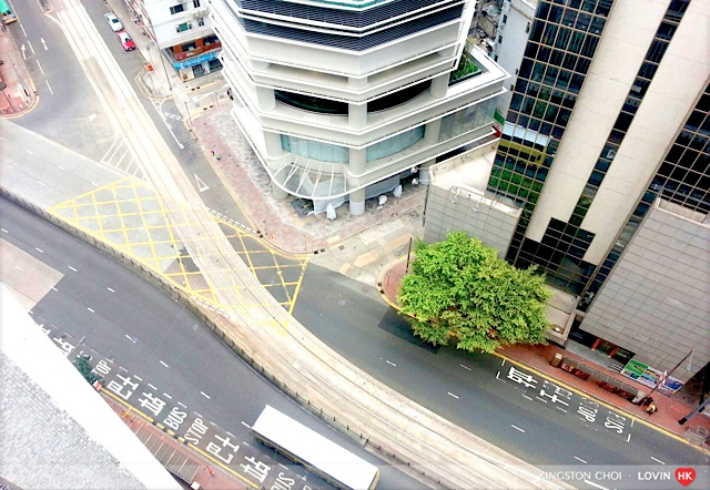 香港農曆新年 23