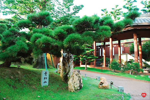  鑽石山_南蓮園池 050