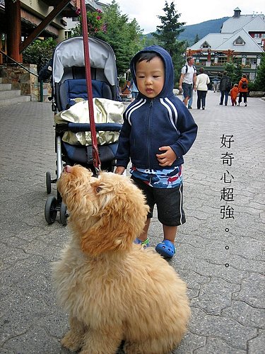 /home/service/tmp/2008-10-31/tpchome/1004526/257.jpg