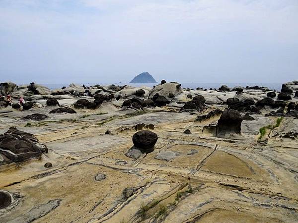 IMG_3082.JPG IMG_3082.JPG