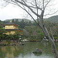 金閣寺