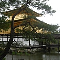 金閣寺