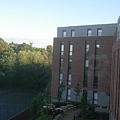 DSCN5442