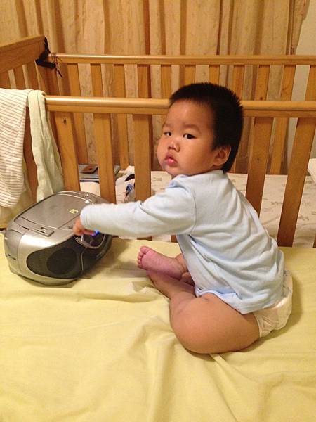 IMG_7235 IMG_7235