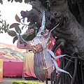 IMG_4740.JPG