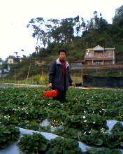IMG0106A