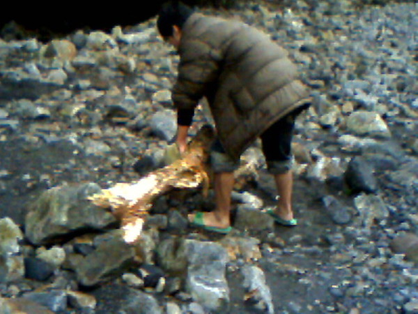 IMG0136A