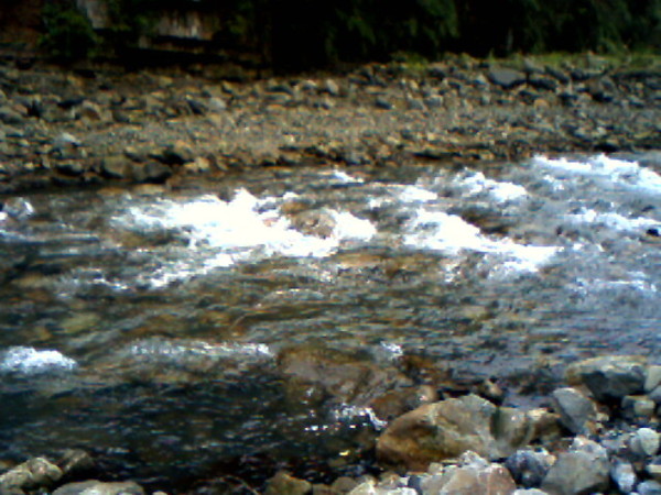 IMG0171A