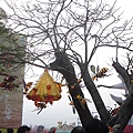 IMG_4742.JPG