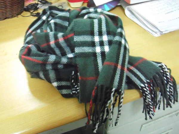 DSCF1372.JPG