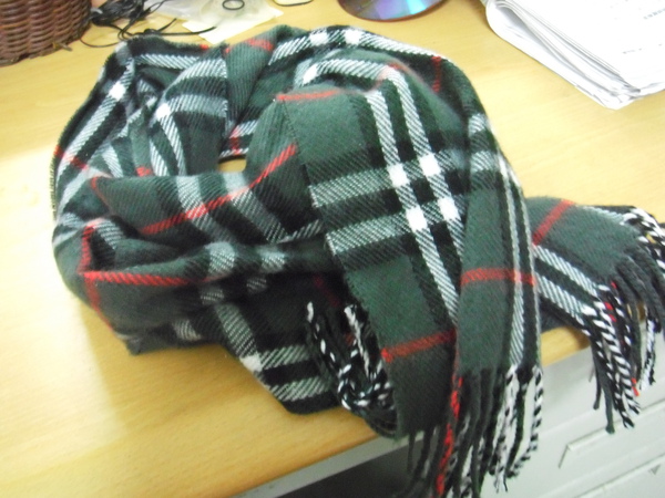 DSCF1373.JPG