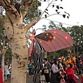 IMG_4741.JPG