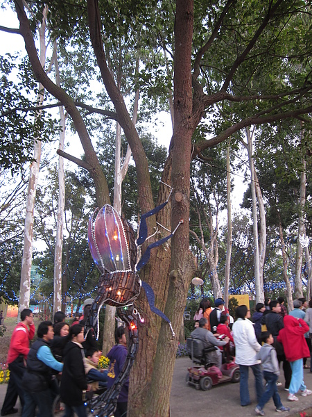 IMG_4762.JPG
