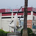 IMG_0262.JPG