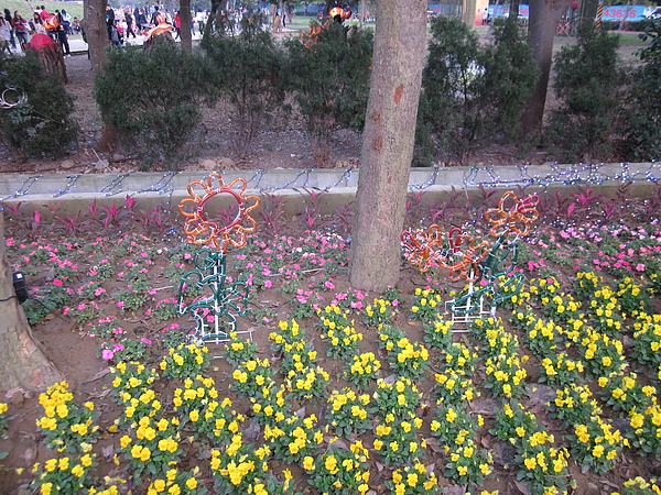 IMG_4763.JPG