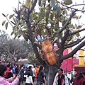 IMG_4749.JPG