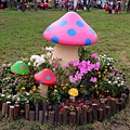 IMG_8657.JPG