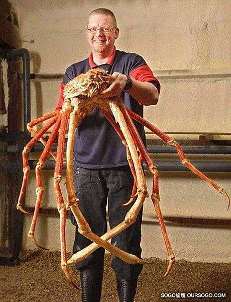 155922l0g6vc5rjcglko8s.jpg 155922l0g6vc5rjcglko8s.jpg