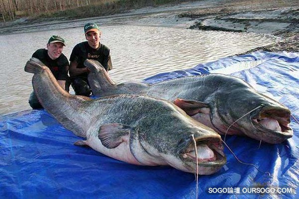 155926h9pwfw229vm6sl4h.jpg 155926h9pwfw229vm6sl4h.jpg