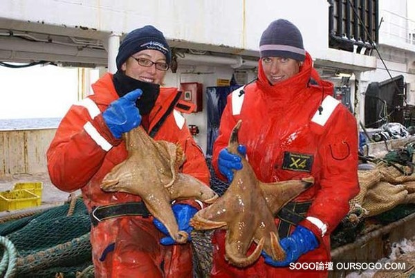 1559250bzpkmbhzn0n33t9.jpg 1559250bzpkmbhzn0n33t9.jpg