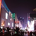 DSC04162 (中型).JPG