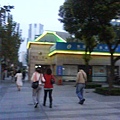 DSC04179 (中型).JPG