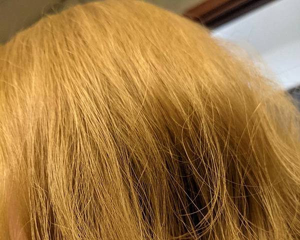 888295.jpg 試用