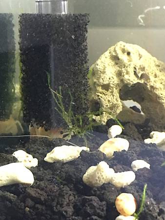 image.jpeg image.jpeg