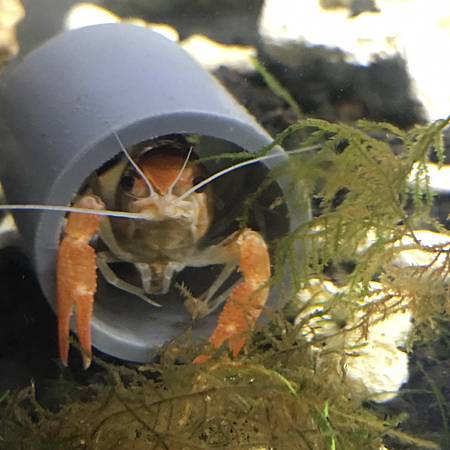 image.jpeg image.jpeg