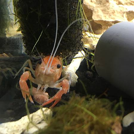 image.jpeg image.jpeg