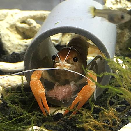 image.jpeg image.jpeg