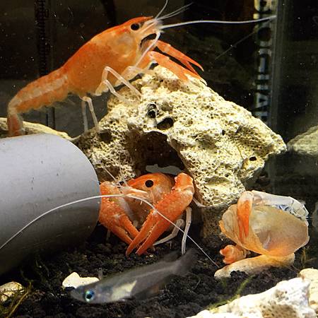 S__14222347.jpg S__14222347.jpg