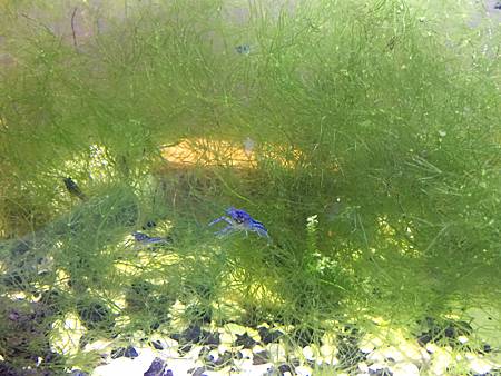 S__14222348.jpg S__14222348.jpg