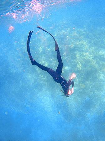 自由潛水 freediving