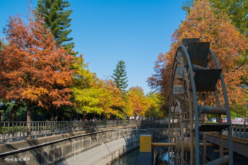 雲林景點 林內落羽松美景 林內農田水利文物陳列館 免費參觀 Kira食玩圖中 痞客邦