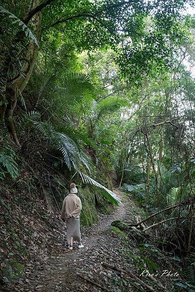 獅山 (43).jpg