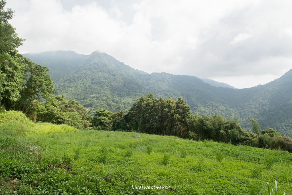 梅后蔓 (8).jpg