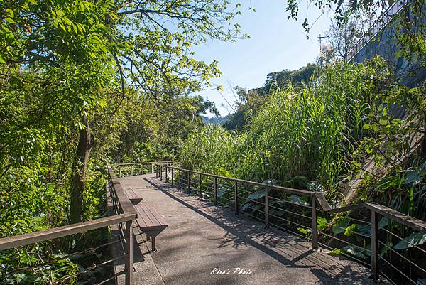 頭寮總督府 (10).jpg